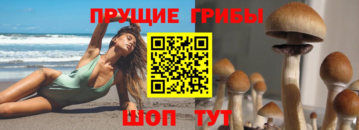 Галлюциногенные грибы мицелий  Вход с VPN  Галлюциногенные грибы Magic Shrooms  Морозовск 
